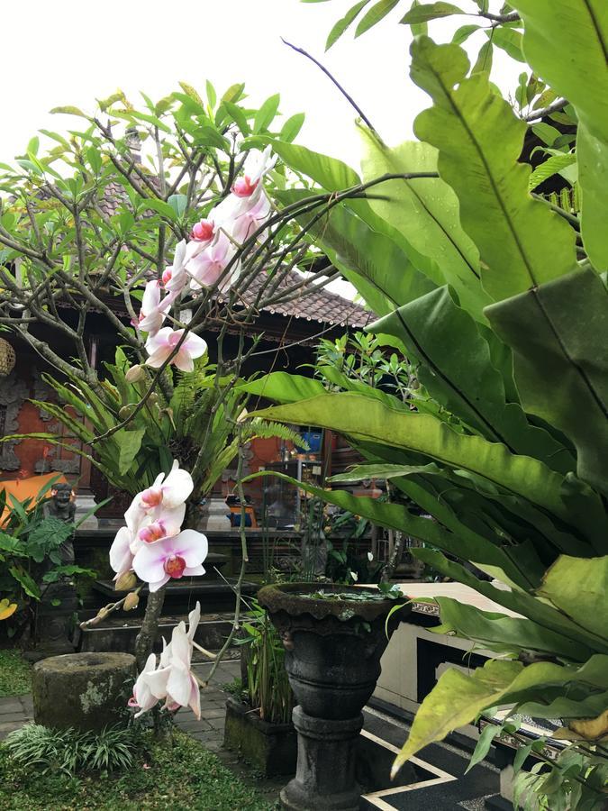 ホテル Local Family House パヤンガン エクステリア 写真