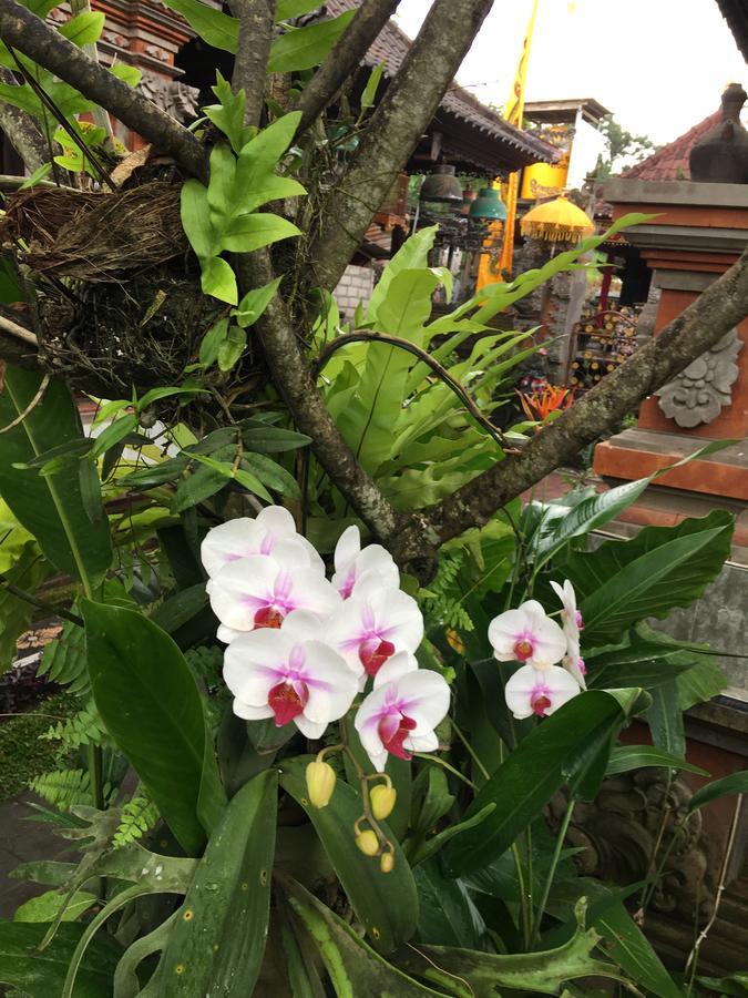 ホテル Local Family House パヤンガン エクステリア 写真